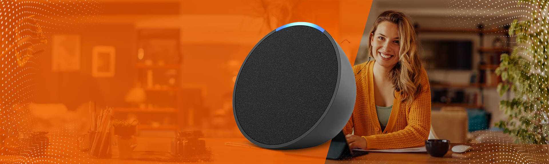 Alexa, indicar a<br> Sellentt para <br>meus contatos