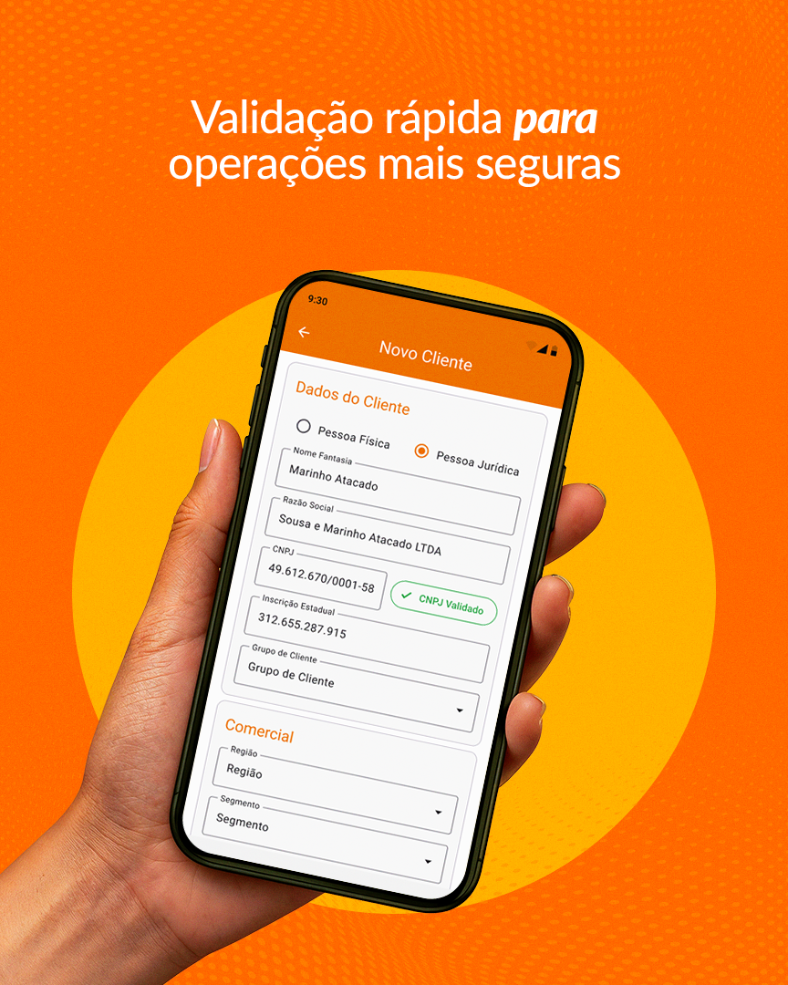 Consulta CNPJ / Validação Cadastral